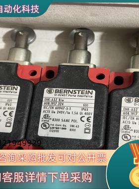 现货伯恩斯坦行程限位开关ENK-A3Z Riw 608.1917