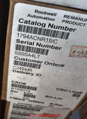 【非标价】99新AB模块1794-ACNR15带包装