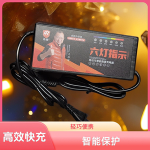 浩锐电动两轮三轮充电器T型品字