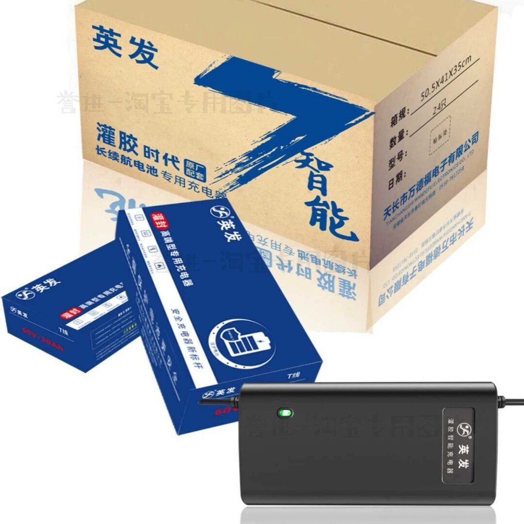 英发充电器电动摩托车充电器铅酸电瓶石墨烯电瓶充电器两三轮通用