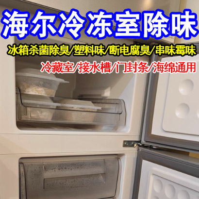冰箱冷冻室除臭味清新剂净味除菌