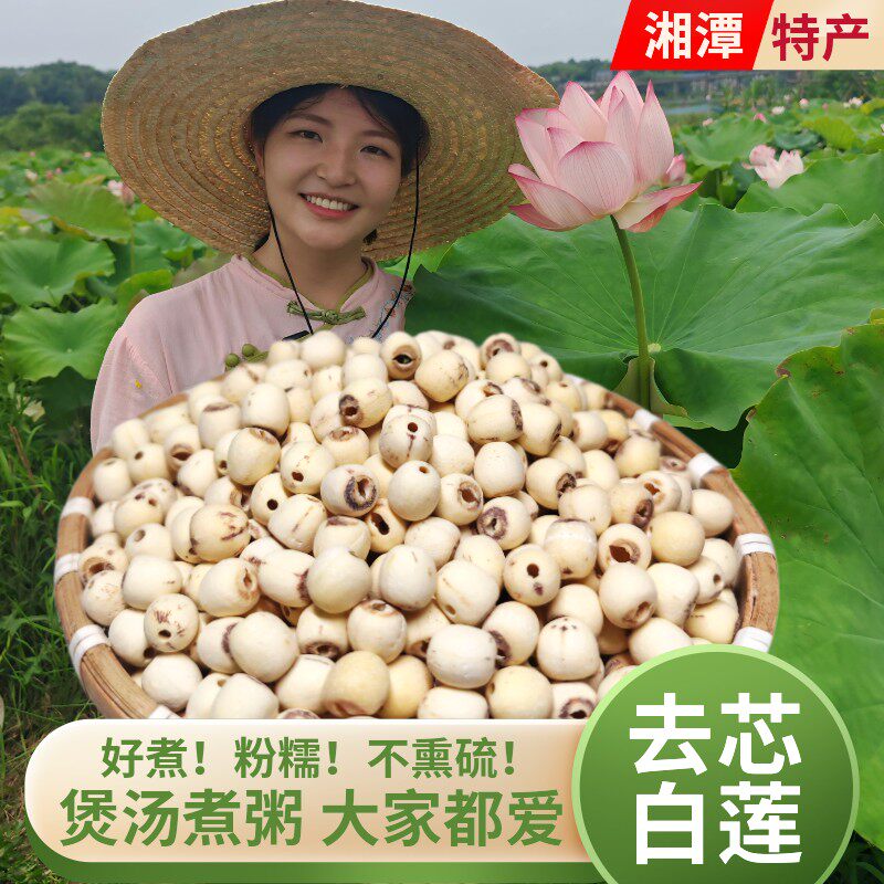 湘潭磨皮去芯白莲子不熏硫新鲜煲汤煮粥湖南特产干货无芯白莲