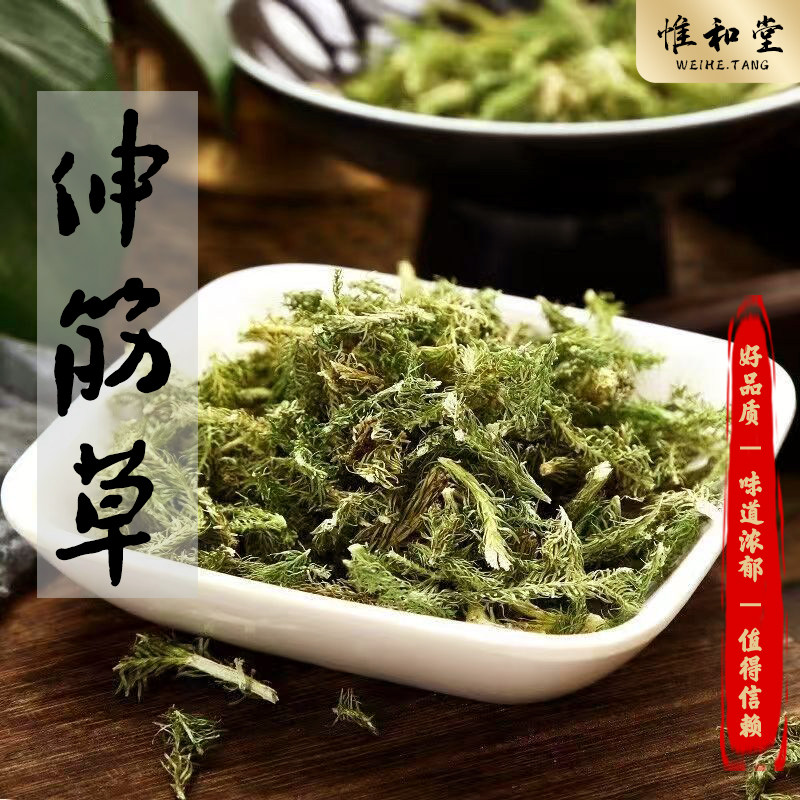 精选伸筋草中药材山区采摘当季新货干净无杂质小舒筋草泡脚