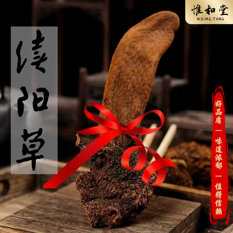 精品续阳草中药材正宗新货西藏顶天柱男人泡酒药材回春草不老草