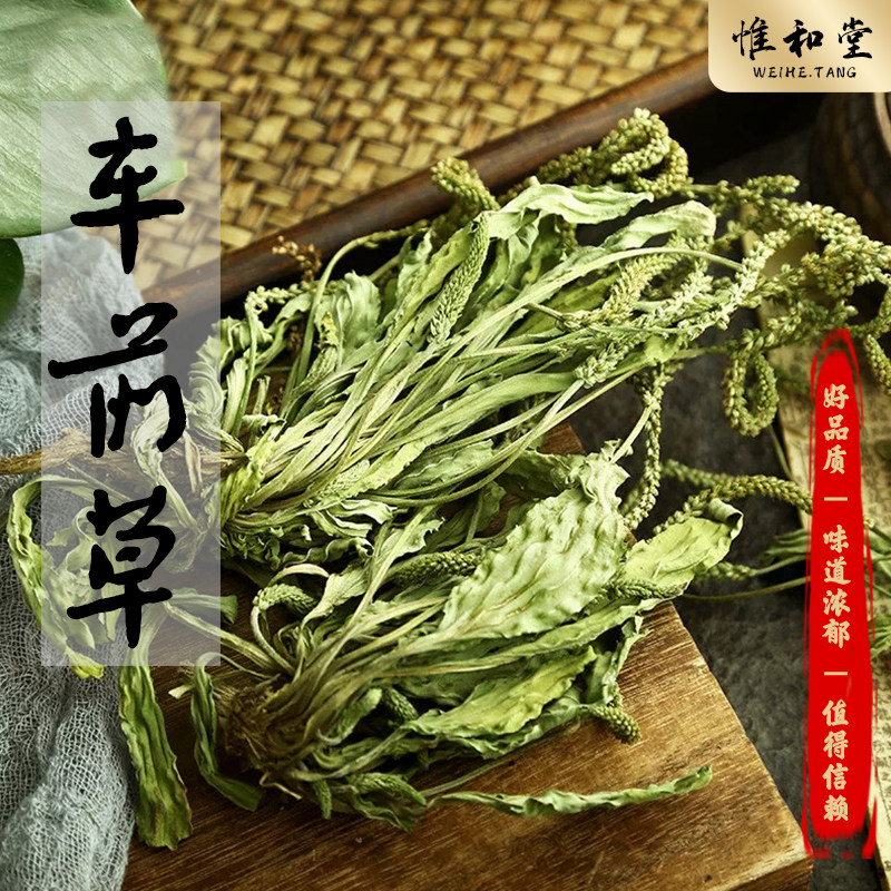 天然车前草中药材新货无硫车前草干货中药泡水车前草茶
