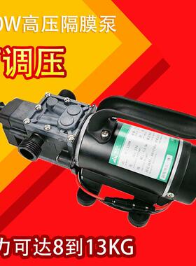 大功率小型隔膜泵自吸泵120wppr管道试压高压大压力高扬程增压泵