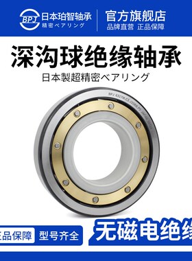 BPJ日本进口轴承6319M铜保高载荷深沟球绝缘轴承6322大型轴承大全