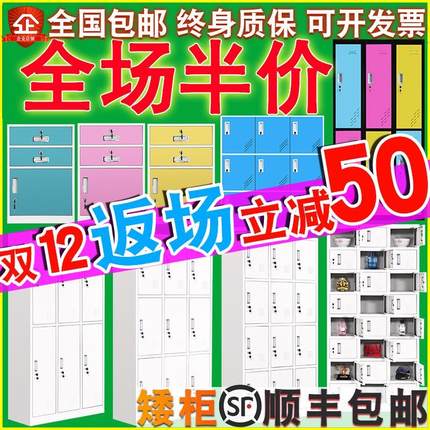 钢制彩色铁皮更衣柜员工宿舍储物柜不锈钢存包碗柜文件单门矮柜子