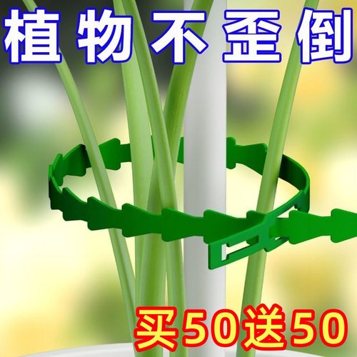 可调节鱼骨扎带捆绑线多用途园林绑树藤蔓植物固定园艺可拆卸扎线