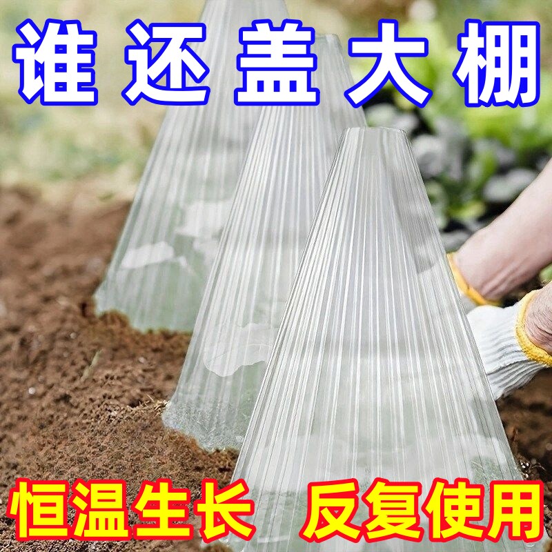 育苗保护罩透明钟罩可重复使用温室大棚免受鸟类霜冻伤害加厚保护
