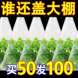 加高育苗保护罩育苗袋育苗袋可重复使用温室大棚免受鸟类伤害加厚