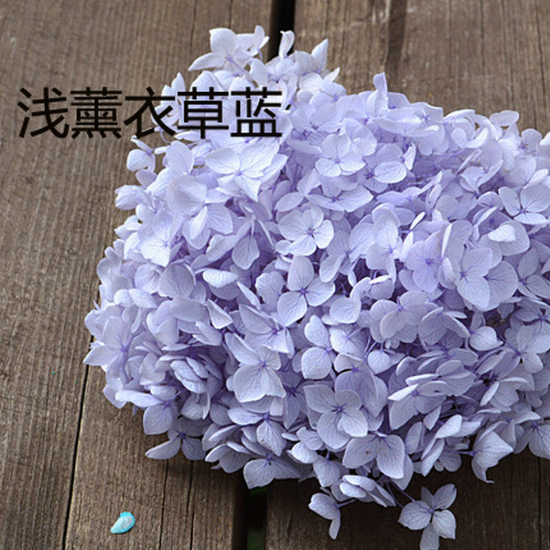 安娜绣球永生花A级小叶20g保鲜花花材配材生日节日场景布置花材