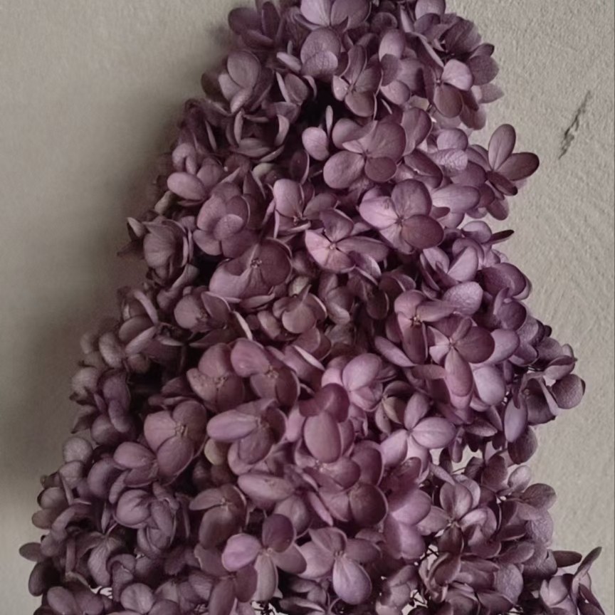 带杆木绣球云南永生花单支干花花束婚礼布置家居装饰单支花艺装饰
