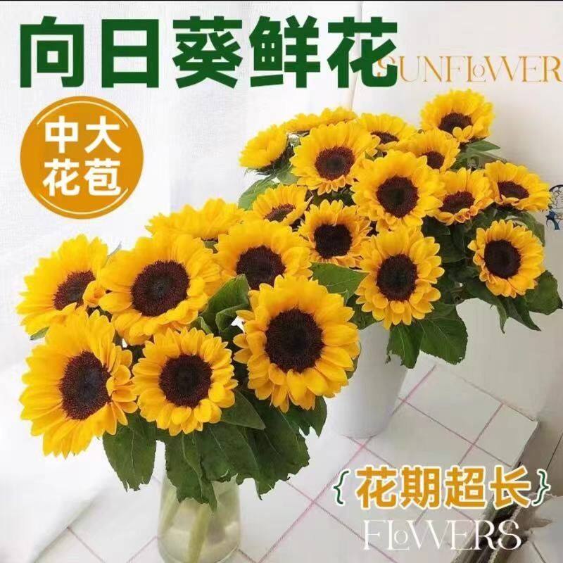 向日葵鲜花云南基地直发太阳花组合花束家用养插花百合洋桔梗花卉