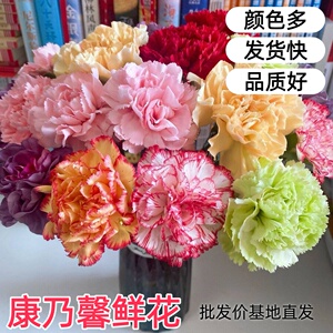 单头红粉康乃馨多头康乃馨鲜切花云南鲜花基地直发家用母亲节花束