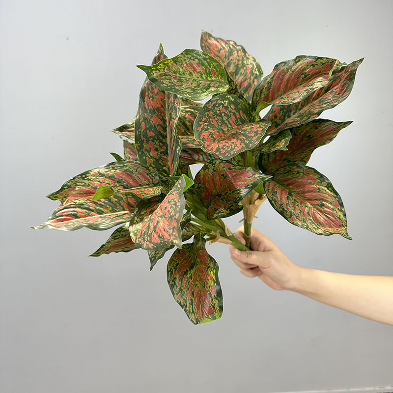 14叶万年青仿真植物墙绿