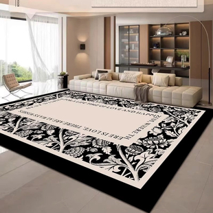 地毯客厅2025新款免洗可擦家用卧室床边垫轻奢高级感茶几沙发地毯
