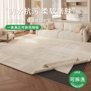 可拆洗地毯客厅沙发轻奢高级卧室床边毯免打理双层地毯地垫可机洗