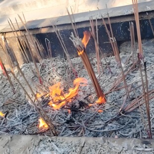 龙王财神香炉灰崂山正宗玉皇香灰纯净道观寺庙净灰斋醮通用香灰粉