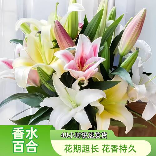 客厅摆件礼物香水百合水养鲜花切