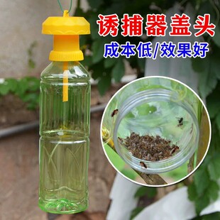 新款果蝇诱捕器大瓶水果园桔小实蝇瓜蝇果实蝇引诱剂针锋诱捕工具