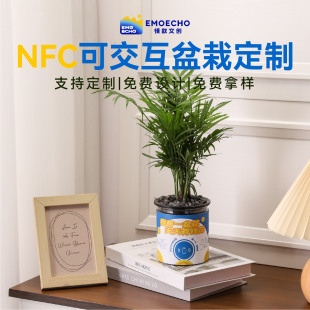 NFC发财树小盆栽定制logo绿植植物摆件企业宣传周年文创创意礼品