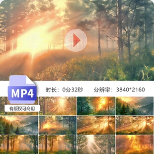 高清森林日出丁达尔光线大自然原始森林清晨雾气树影视频素材
