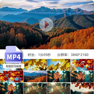 高清秋分金秋深秋枫叶银杏唯美空镜大自然风景航拍意境视频素材