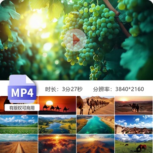 高清一带路丝绸骆驼商队沙漠新疆西域绿洲戈壁黄昏日出4k视频素材