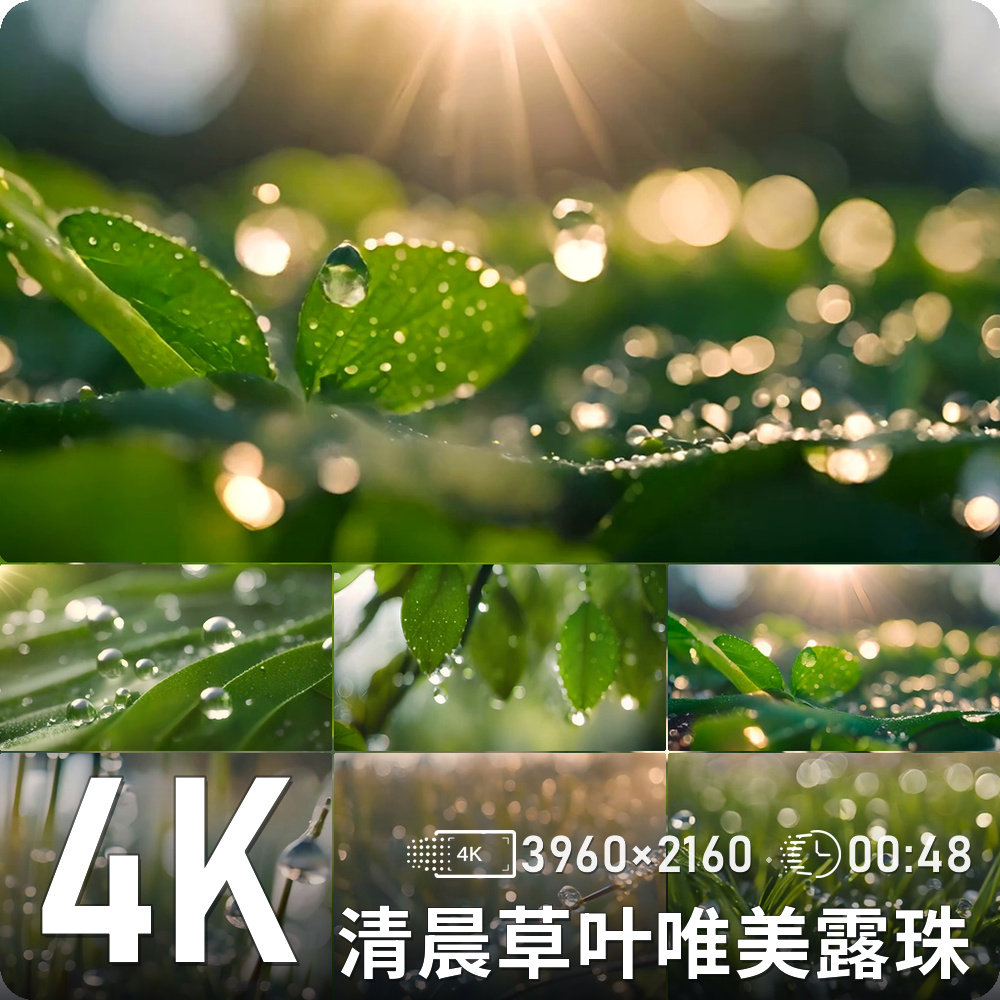 清晨草叶露珠阳光金色散景微距特设计素材/源文件