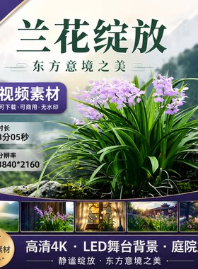 高清4K兰花草LED舞台背景视频素材庭院兰花静谧绽放东方意境之美