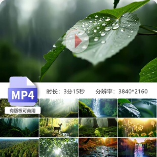 高清唯美麋鹿饮水清晨云雾森林阳光透过秋叶小溪流瀑布山视频素材