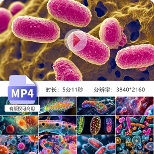 高清微生物世界基因表达代谢通路信号传导细胞器互动视频素材