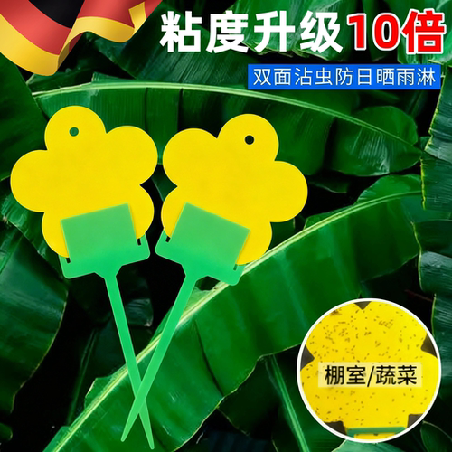 黄板双面粘虫板插杆小飞虫家用