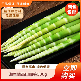 杭富绿笋（高山细笋）500g新鲜清水笋嫩竹笋尖火锅麻辣烫食材