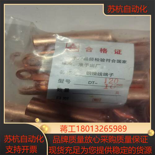 国标紫铜接线鼻子，规格:DT—120， 可以接120