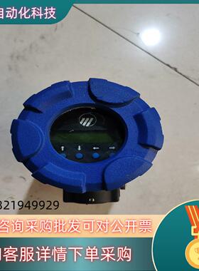 现货Magnetrol麦格 导波雷达液位计