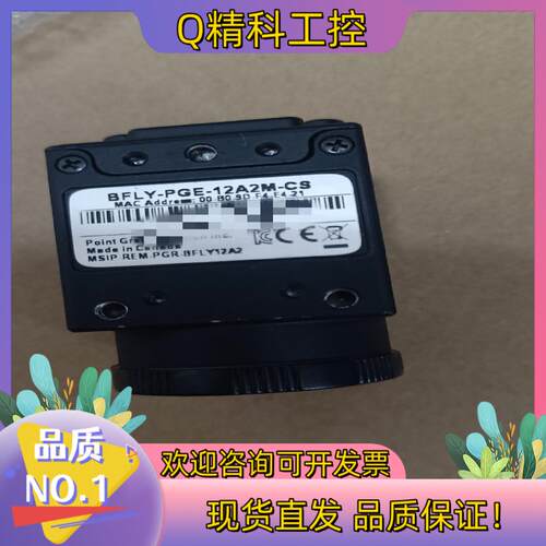 现货POINT GREY  BFLY-PGE-12A2M-CS