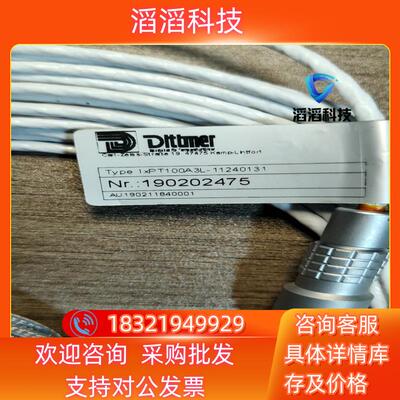现货德国Dlttmer 1xPT100A3L-11240131