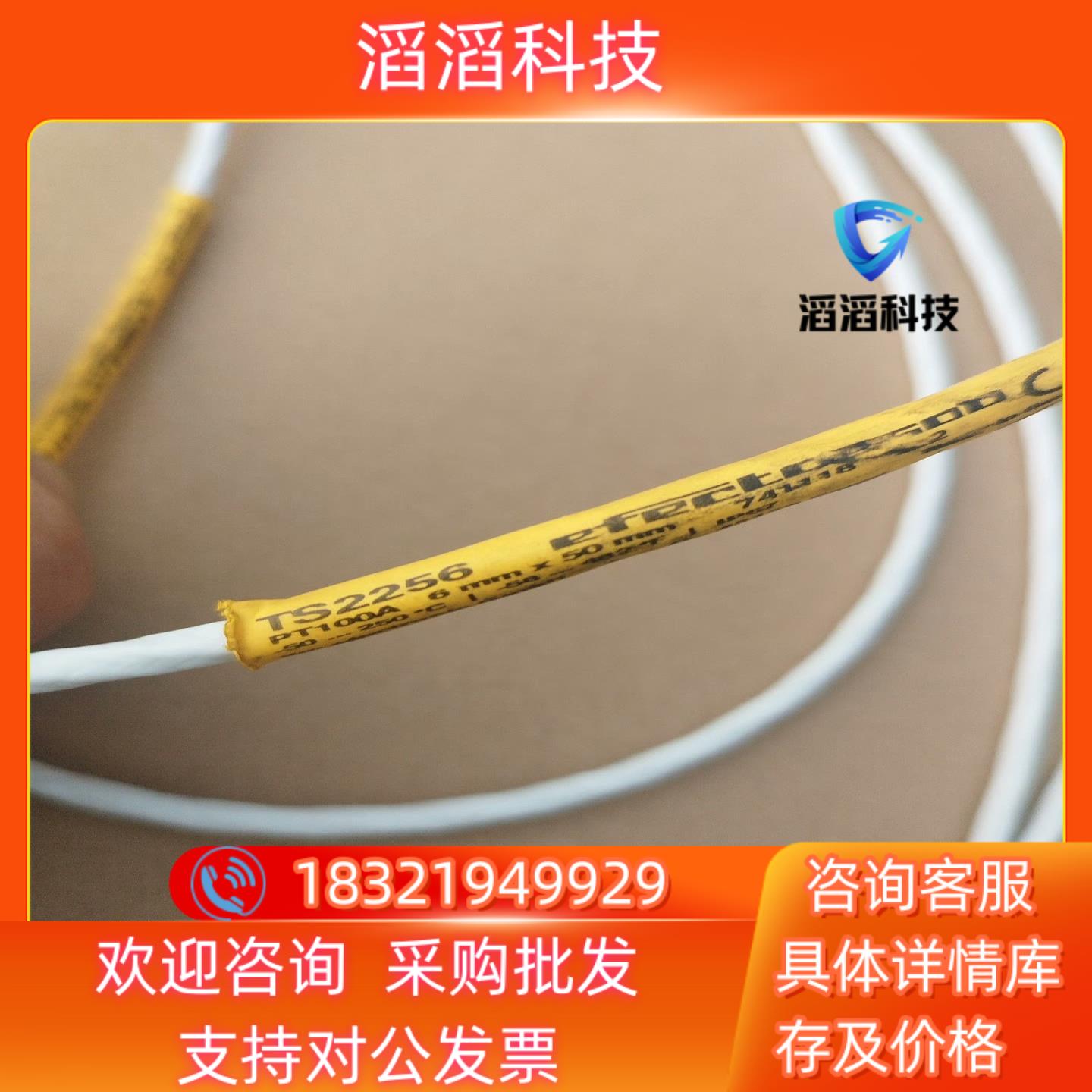 现货易福门TS2256温度传感器条线长2米150