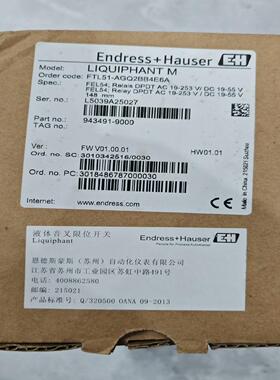 EndressHauser 音叉Order code：FT