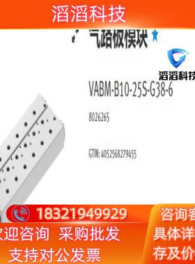 现货8026265   VABM-B10-25S-G38-6费斯