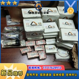 原装LOMBARDINI隆巴蒂尼系列之一,请认准图片零件号再议价