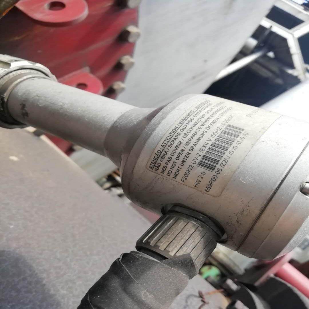 [德峰]火焰检测器lamtec