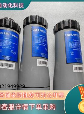 401111-21 原产 FORNEY 火检传感器 全新