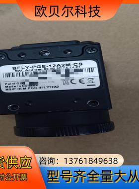 POINT GREY  BFLY-PGE-12A2M-CS