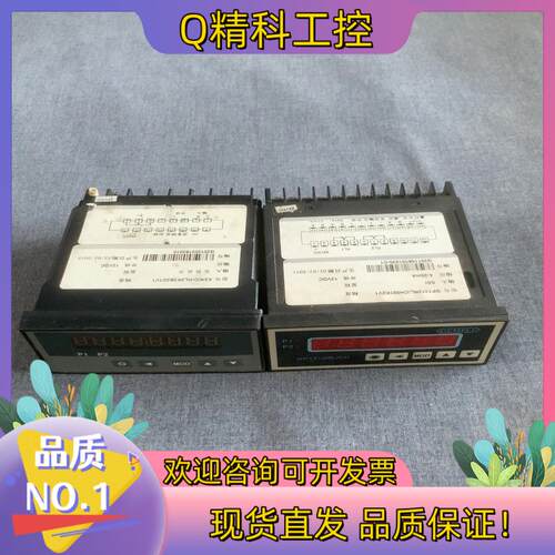 现货GP1312RL/CH-SSI信号转换显示仪表