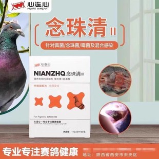 心连心念珠清信鸽鹦鹉用清念珠菌霉菌真菌鸽子鸟嗉囔胀气非鸽药