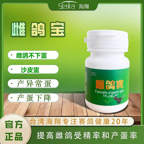 海翔雌宝雌鸽丸种鸽宝