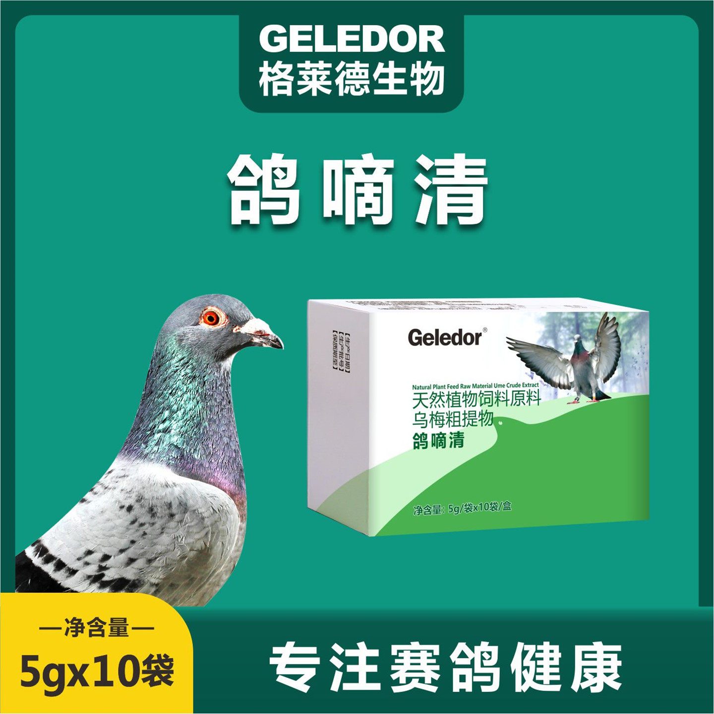 格莱德鸽滴清粉赛鸽毛滴虫驱虫